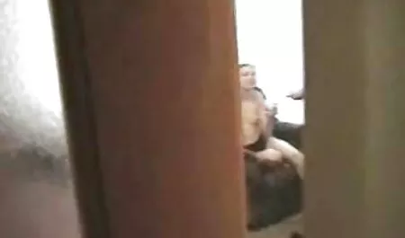 تقدیر عکسهای خفن سوپر از گربه بیرون می آید