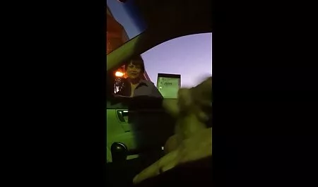 گربه جوان عکس سوپرسکسی خفن لیس می زند