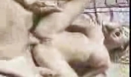 ورزشکار در ورزشگاه یک بلوند را در الاغ عکس سکسی متحرک خفن فریب می دهد